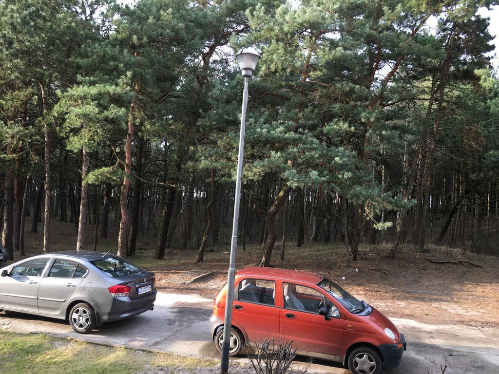 Apartment Apartament Gosia Rogowo (Gryfice)